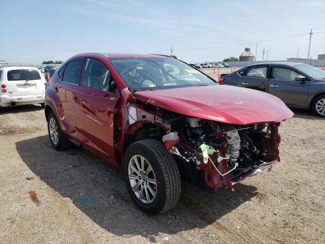 LEXUS NX 300 BAS 2021 jtjdardz8m5026766