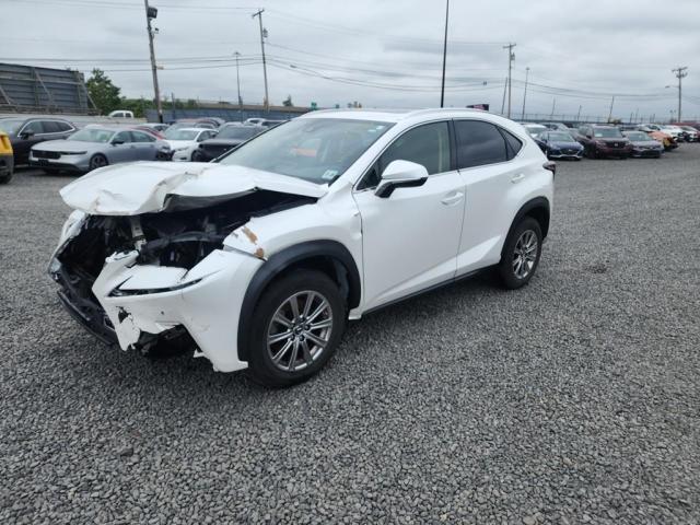 LEXUS NX 300 2020 jtjdardz9l5015662