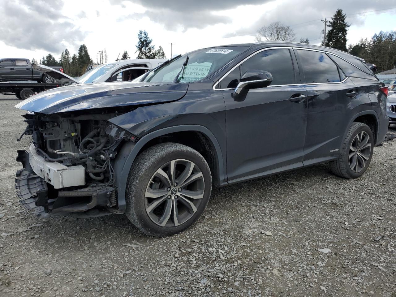 LEXUS RX 2019 jtjdgkca5k2007494