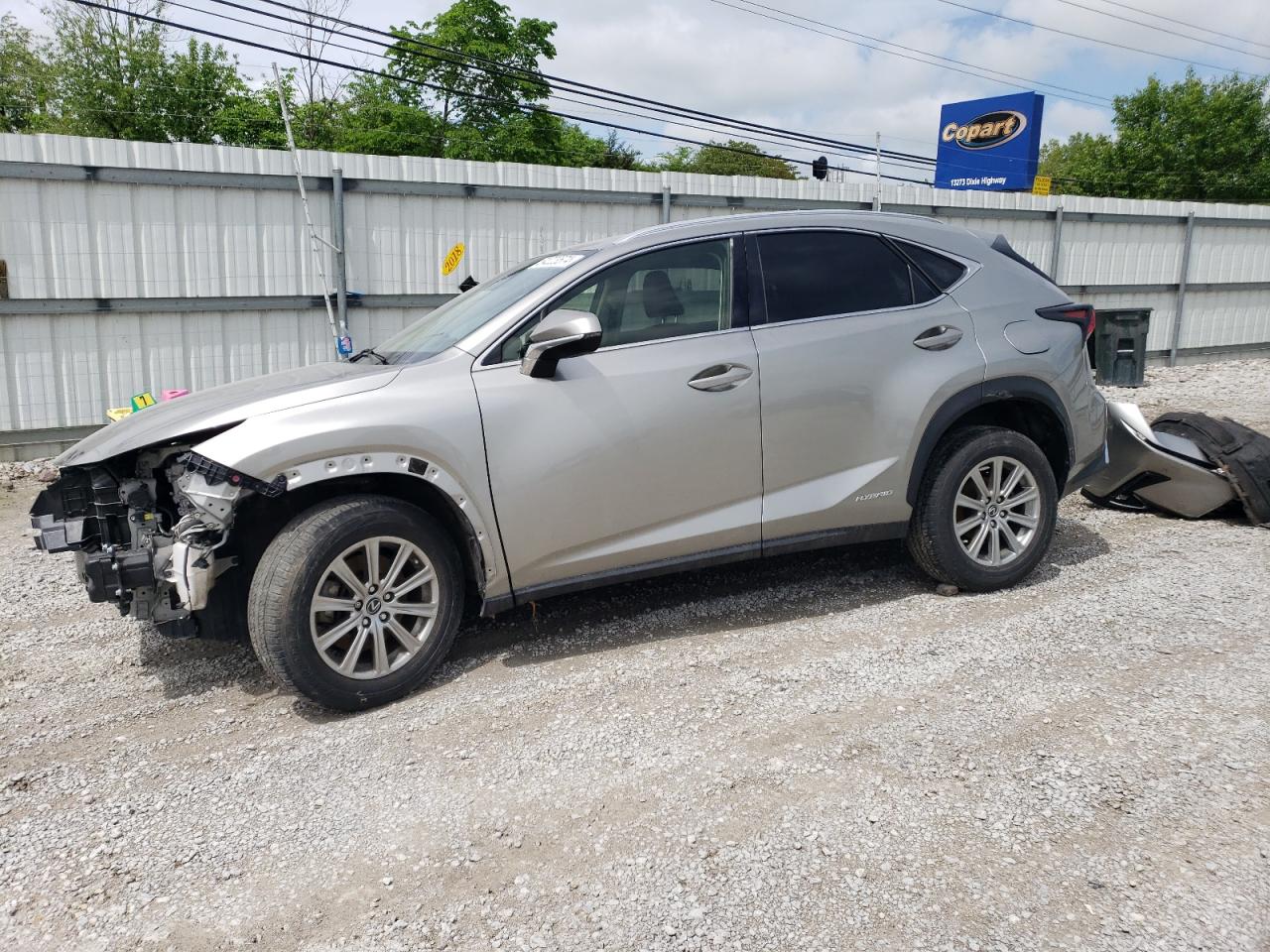 LEXUS NX 2020 jtjdjrdz1l5003571