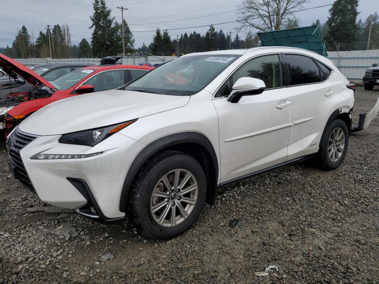 LEXUS NX 2020 jtjdjrdz1l5003943