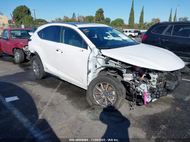 LEXUS NX 2020 jtjdjrdz1l5004641