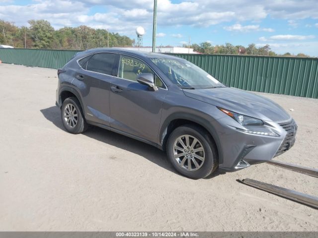 LEXUS NX 300H 2020 jtjdjrdz2l2133103