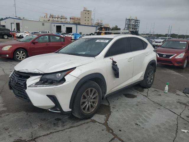 LEXUS NX 300H 2020 jtjdjrdz2l5002140