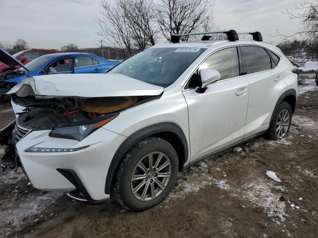 LEXUS NX 2020 jtjdjrdz3l2139282