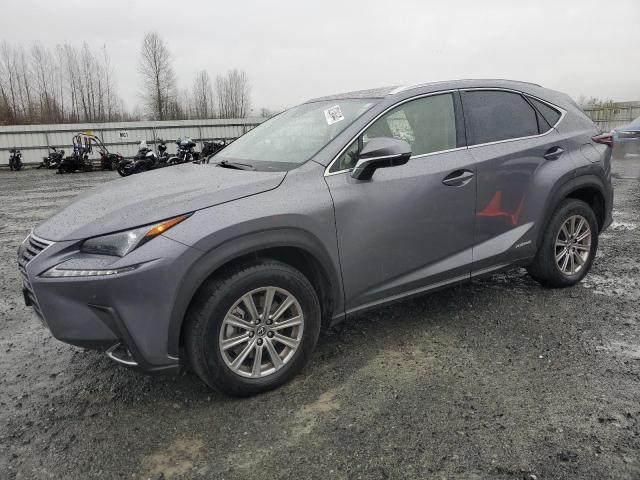 LEXUS NX 300H BA 2021 jtjdjrdz4m2160532