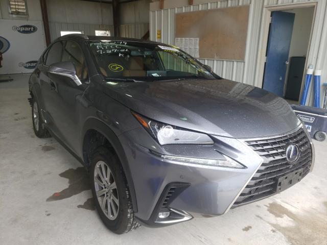 LEXUS NX 300H 2020 jtjdjrdz6l5006577