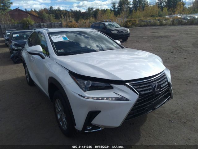 LEXUS NX 2020 jtjdjrdz6l5007289