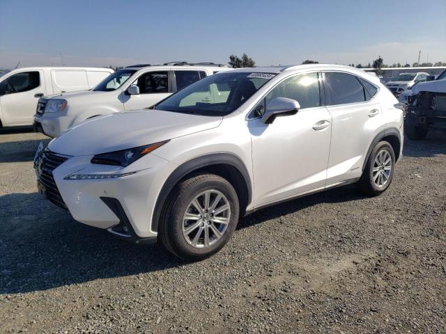 LEXUS NX 2020 jtjdjrdz7l5005695