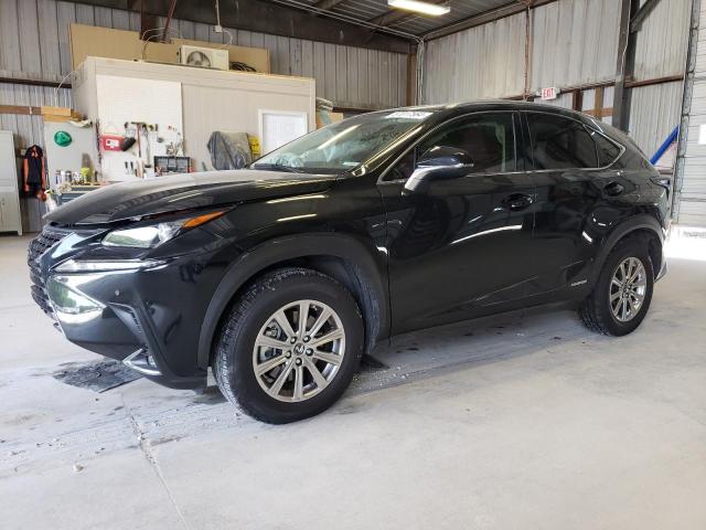 LEXUS NX 2020 jtjdjrdz9l2145491