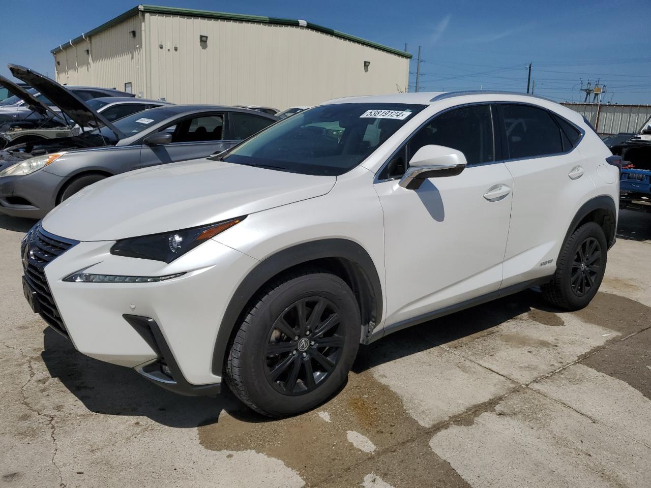 LEXUS NX 2020 jtjdjrdz9l5000370