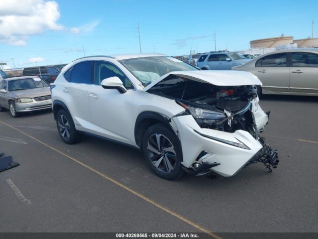 LEXUS NX 2020 jtjdjrdz9l5009991