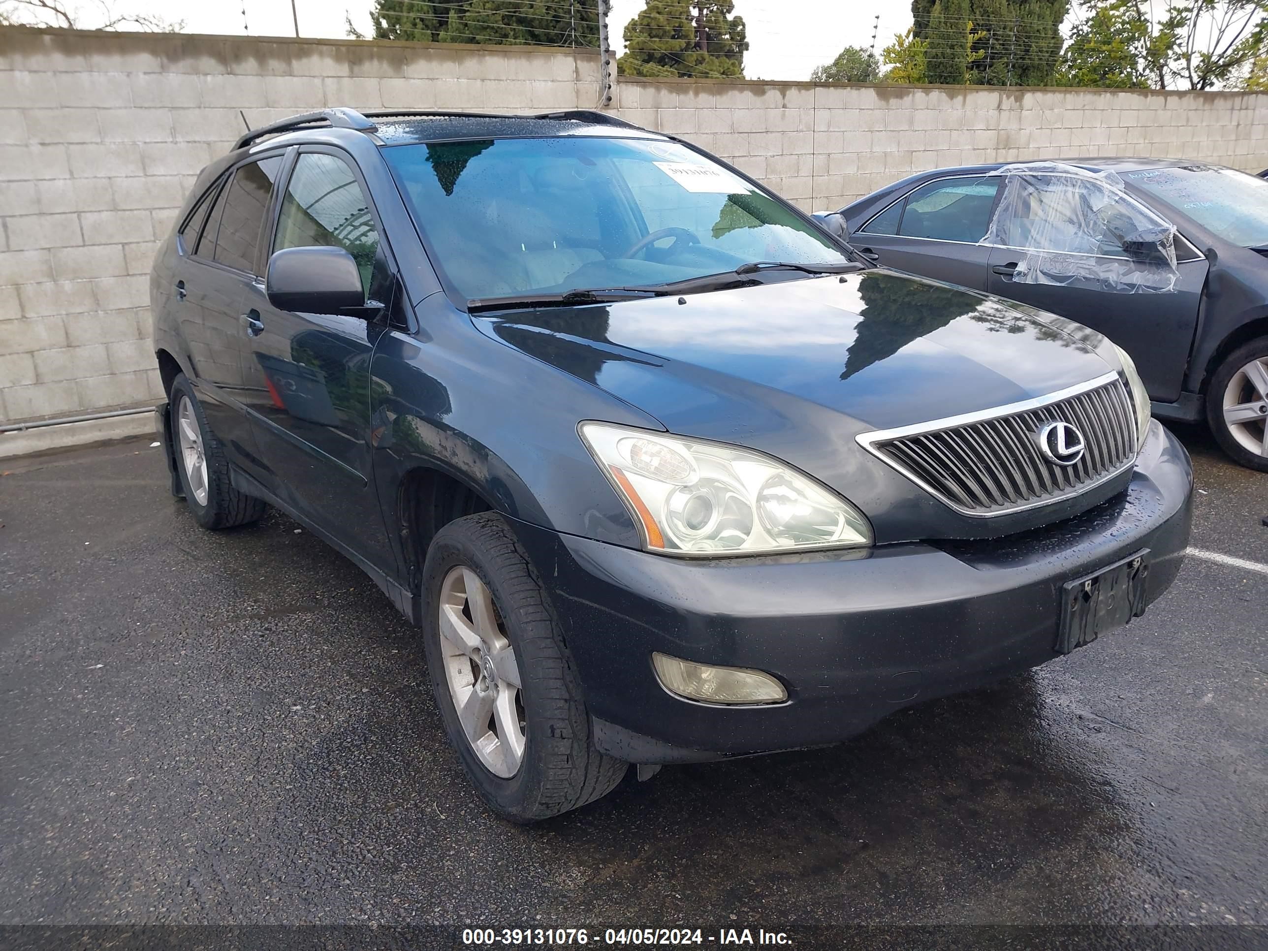 LEXUS RX 2004 jtjga31u040003207