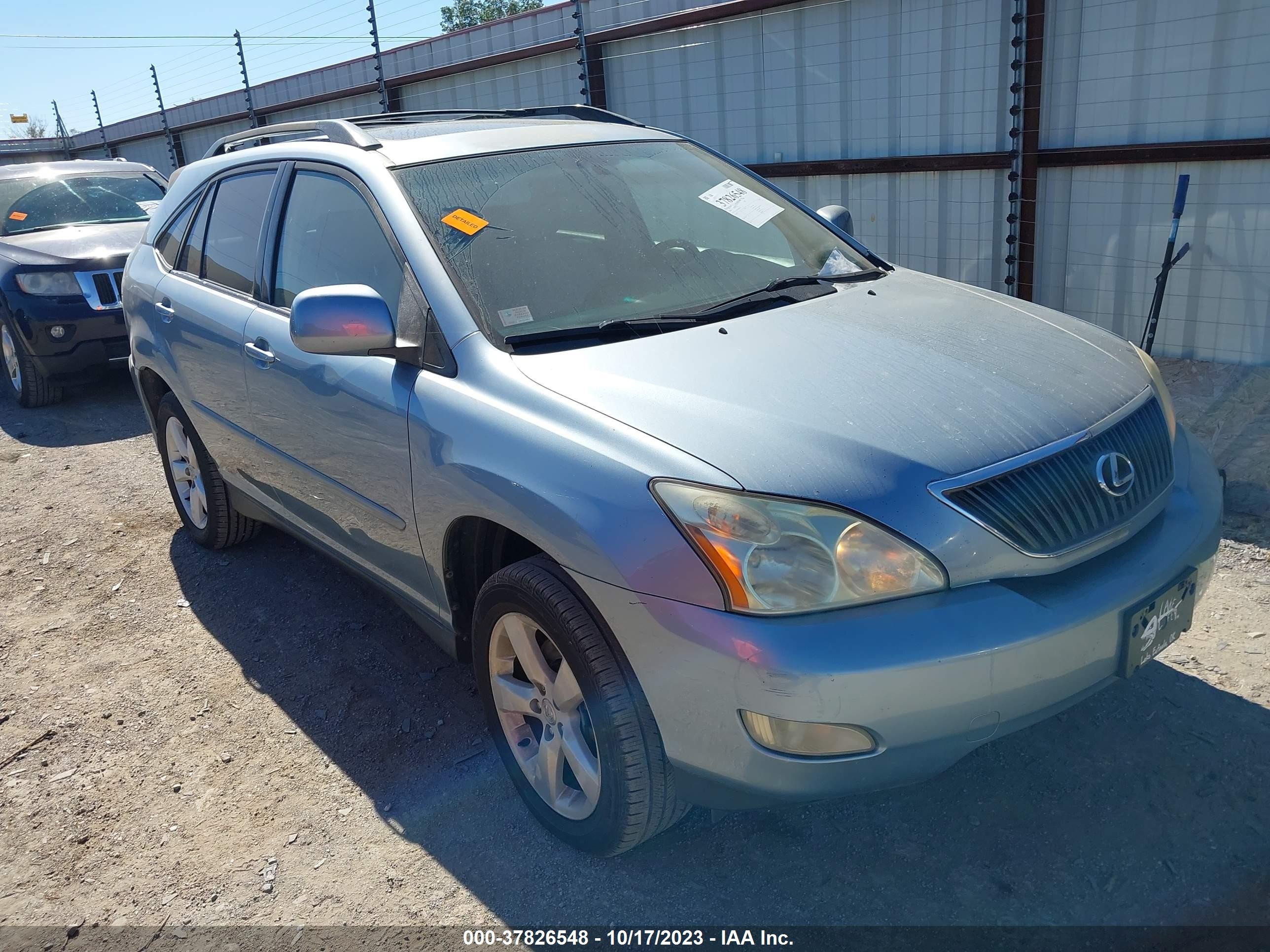 LEXUS RX 2004 jtjga31u040040256