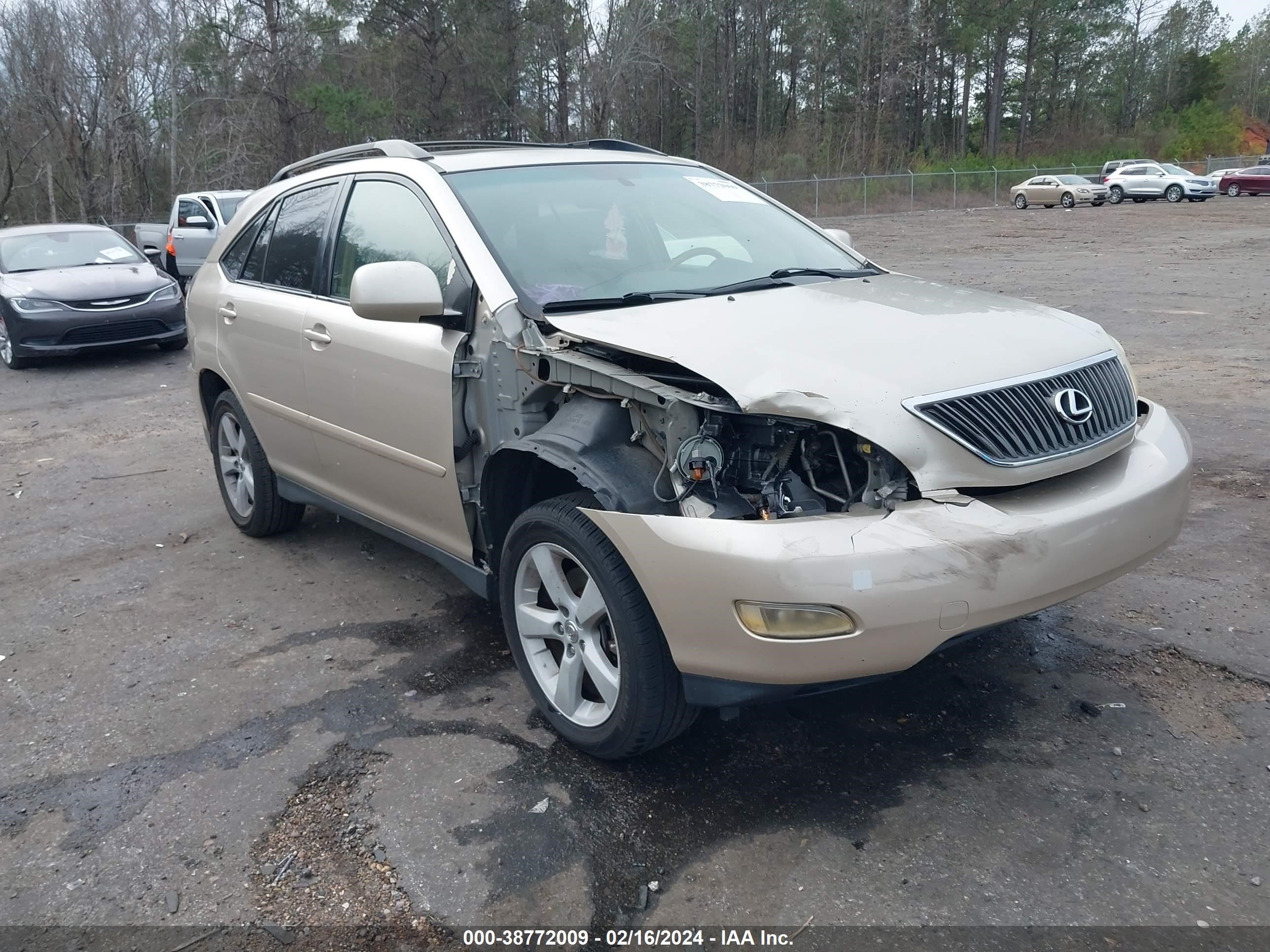 LEXUS RX 2004 jtjga31u140010568