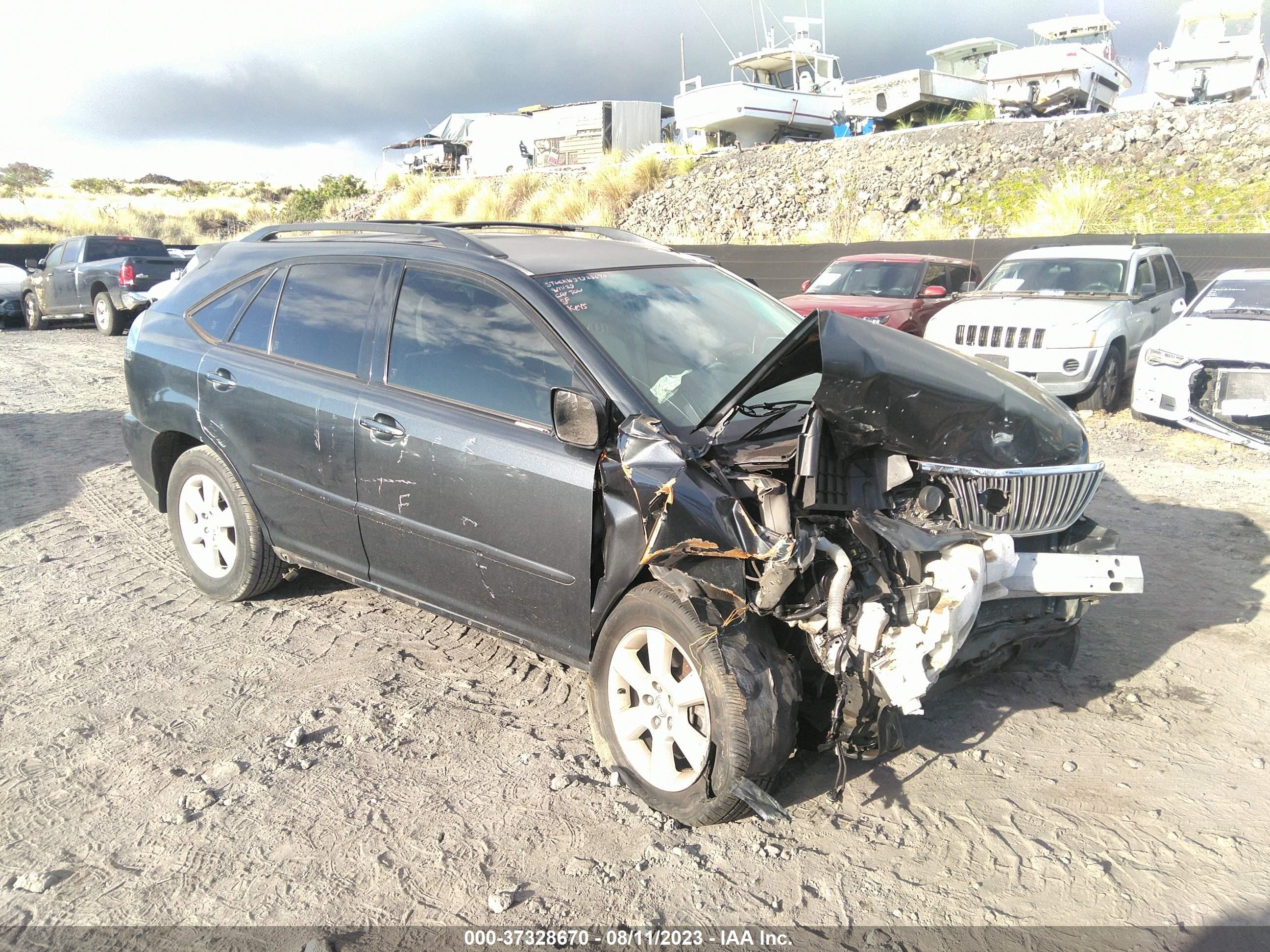 LEXUS RX 2006 jtjga31u360064652