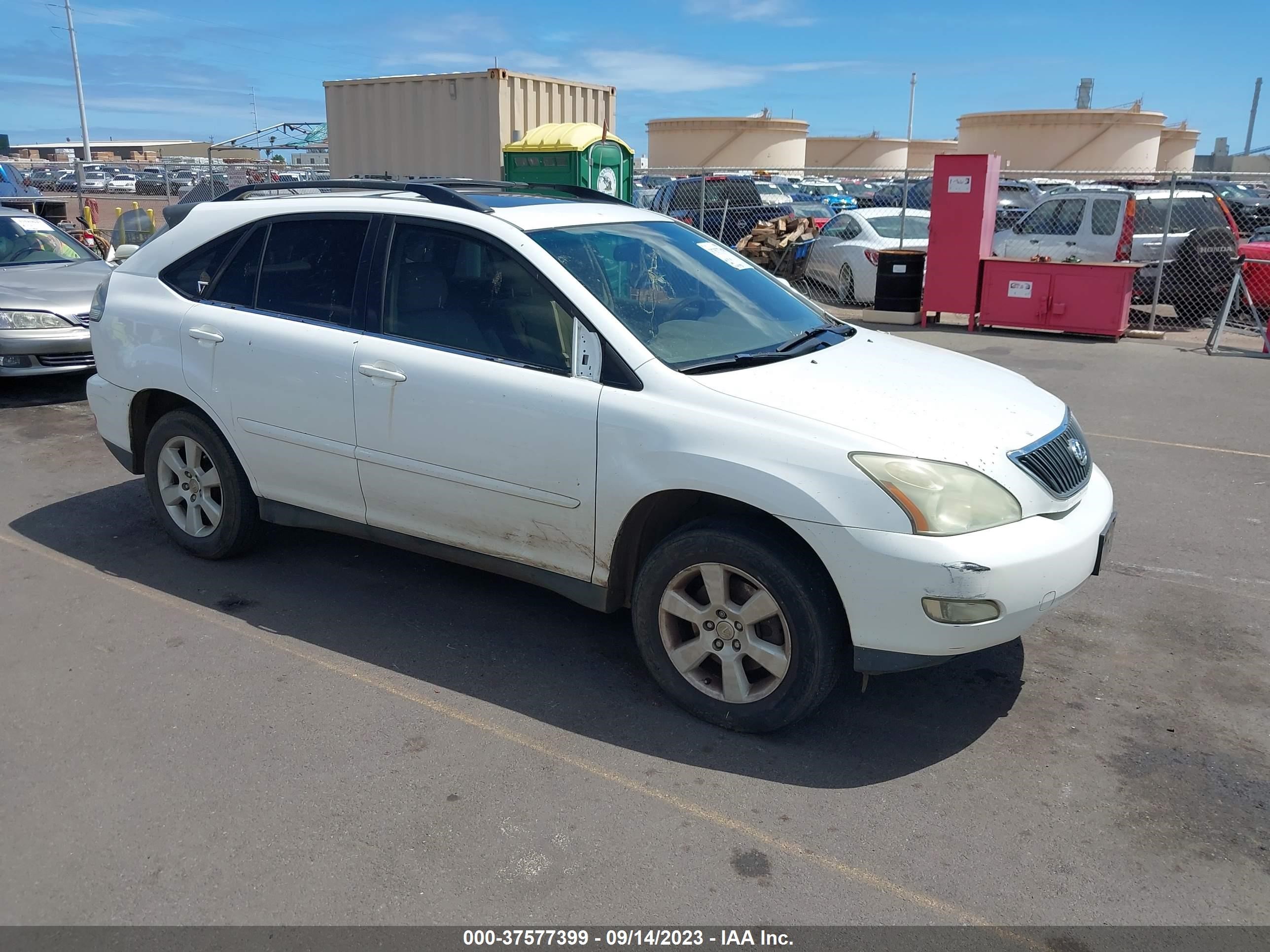 LEXUS RX 2004 jtjga31u440028756