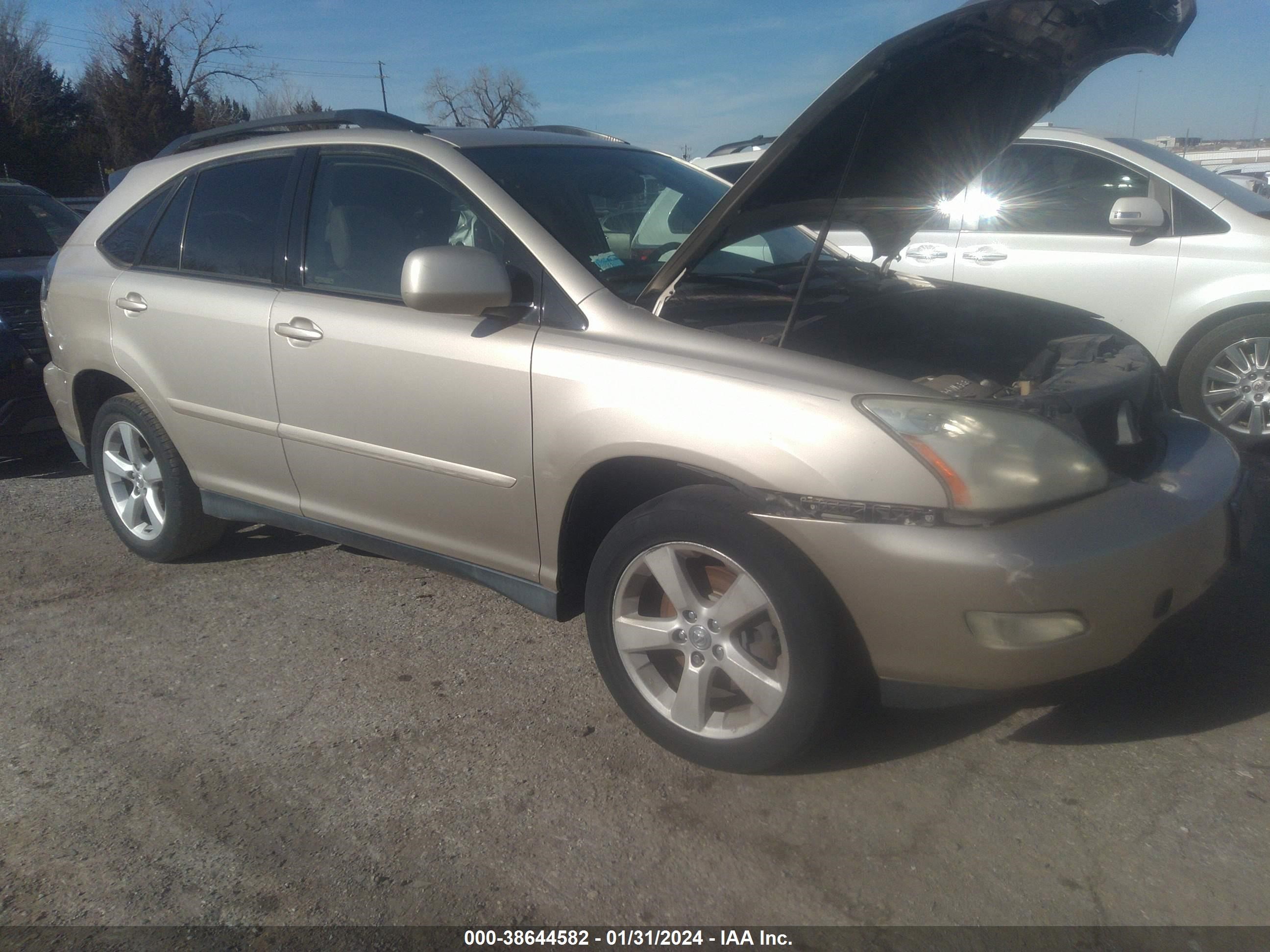 LEXUS RX 2004 jtjga31u540032962