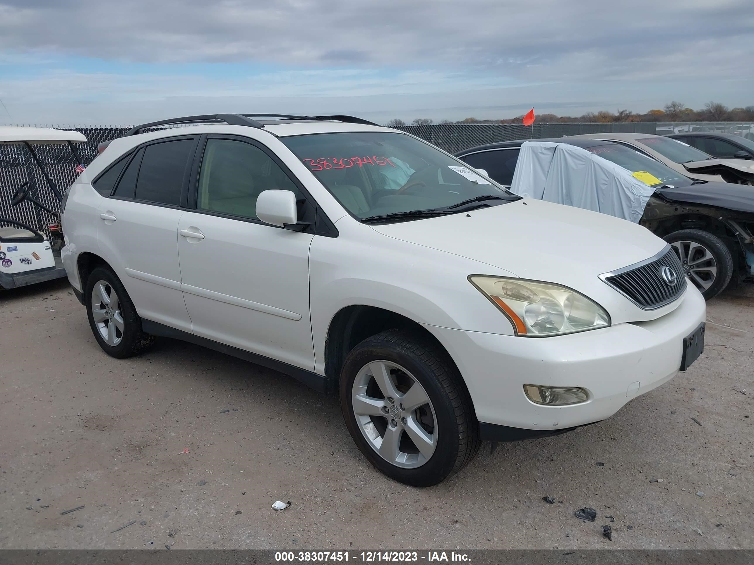 LEXUS RX 2004 jtjga31u540041791