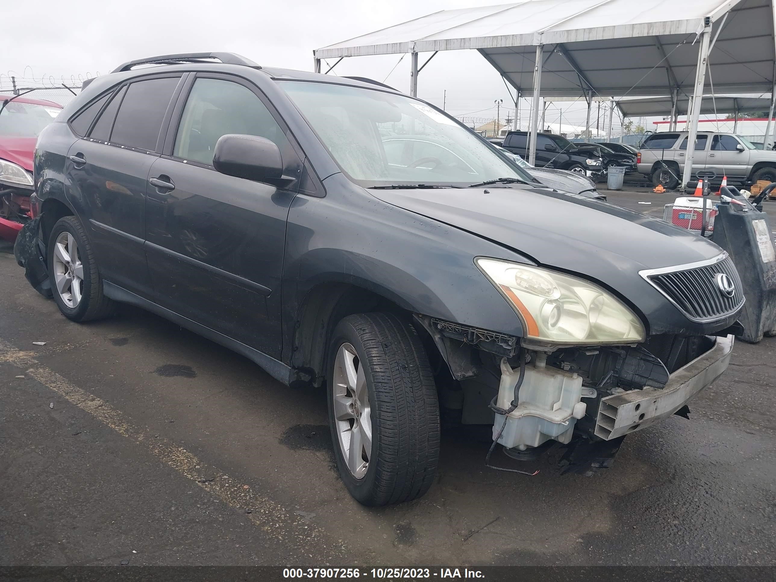 LEXUS RX 2006 jtjga31u560059985