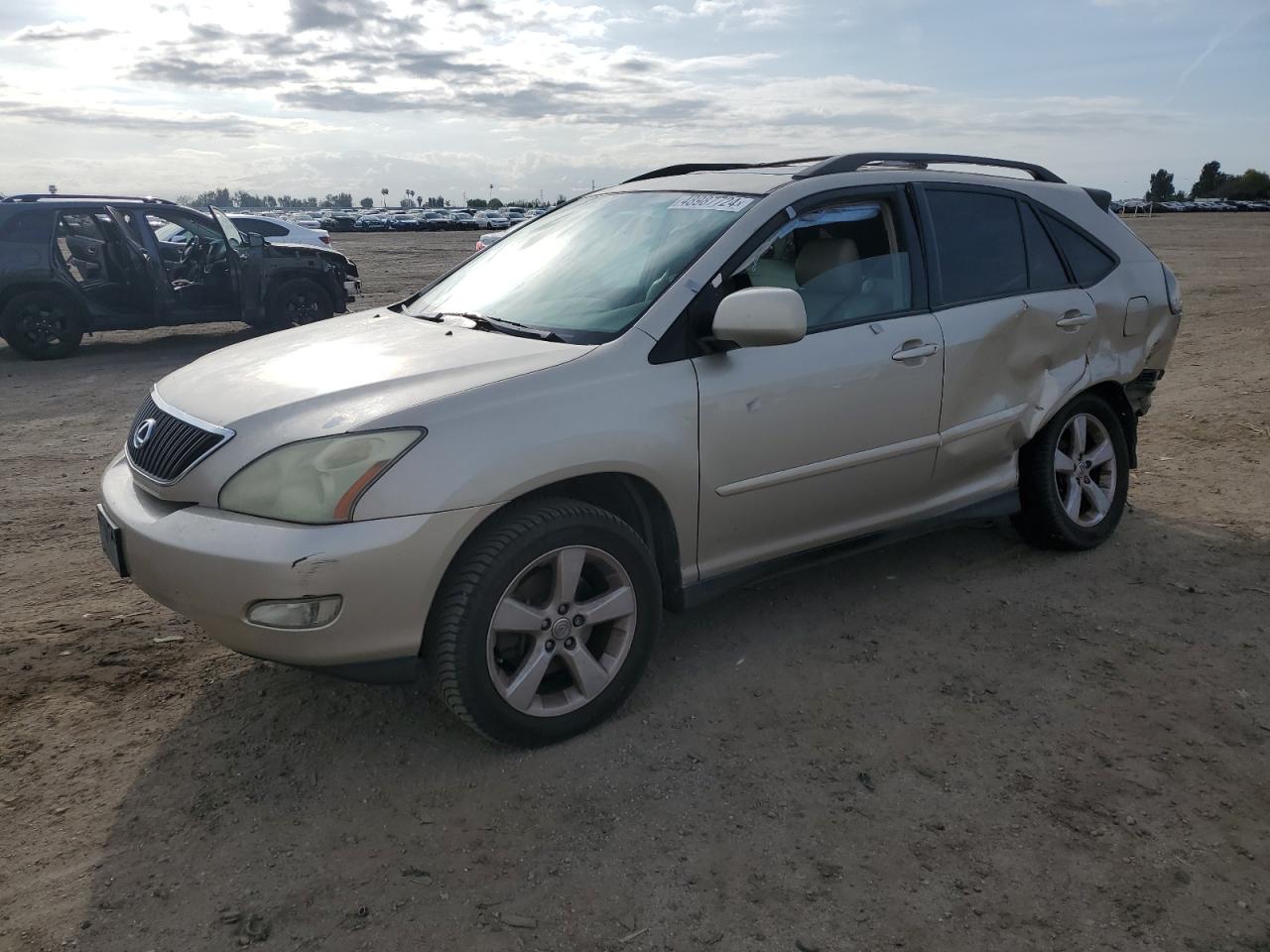 LEXUS RX 2004 jtjga31u640021095