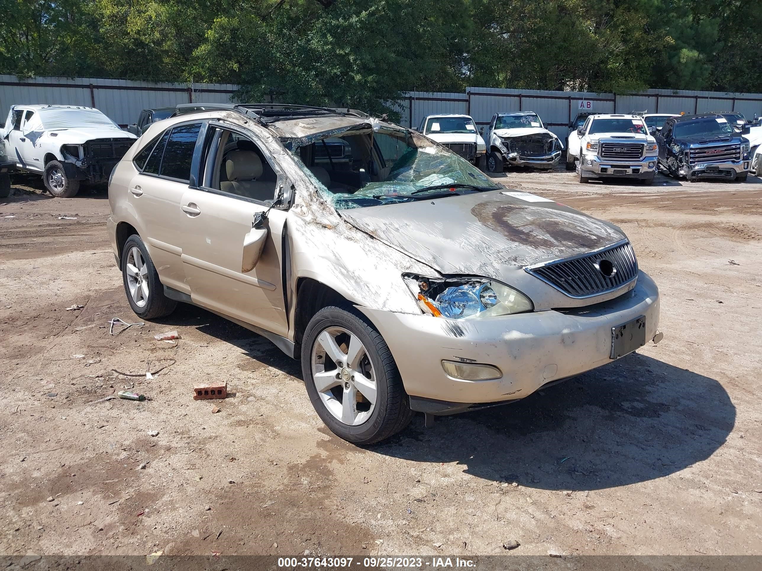 LEXUS RX 2004 jtjga31u640022814