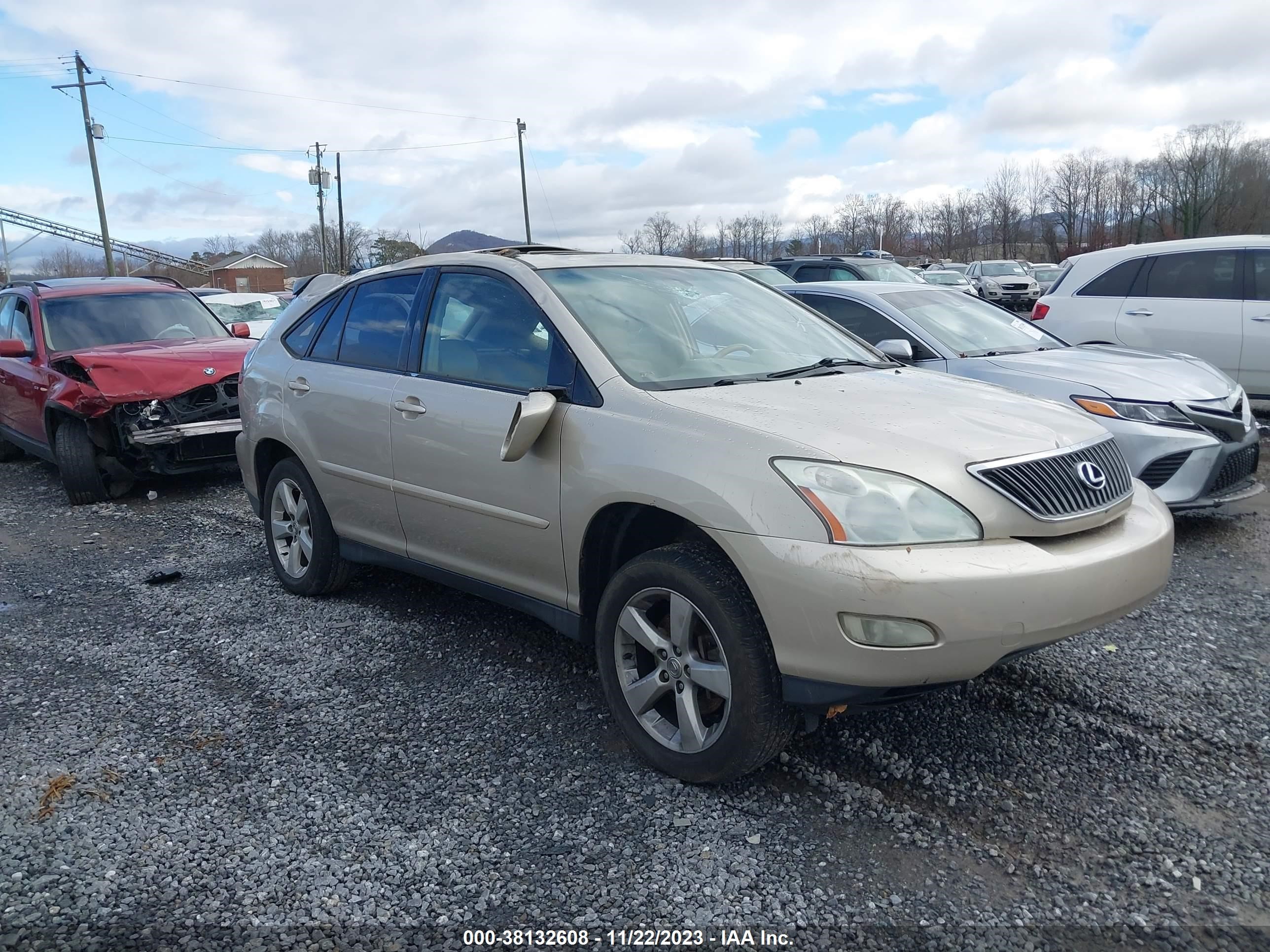 LEXUS RX 2004 jtjga31u740032400