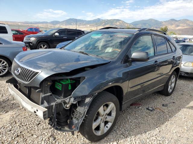 LEXUS RX 330 2004 jtjga31u840029974