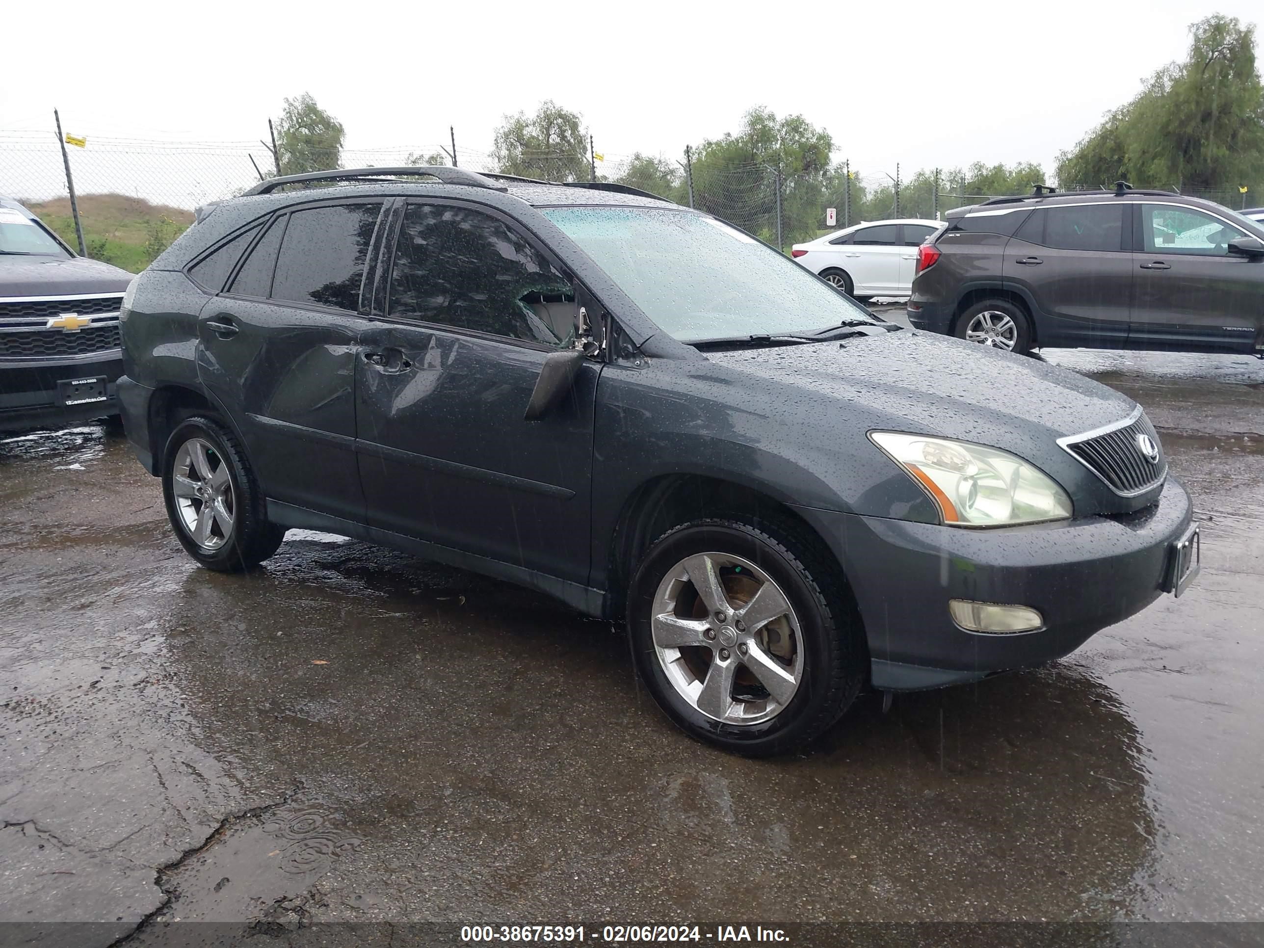 LEXUS RX 2004 jtjga31u840043633