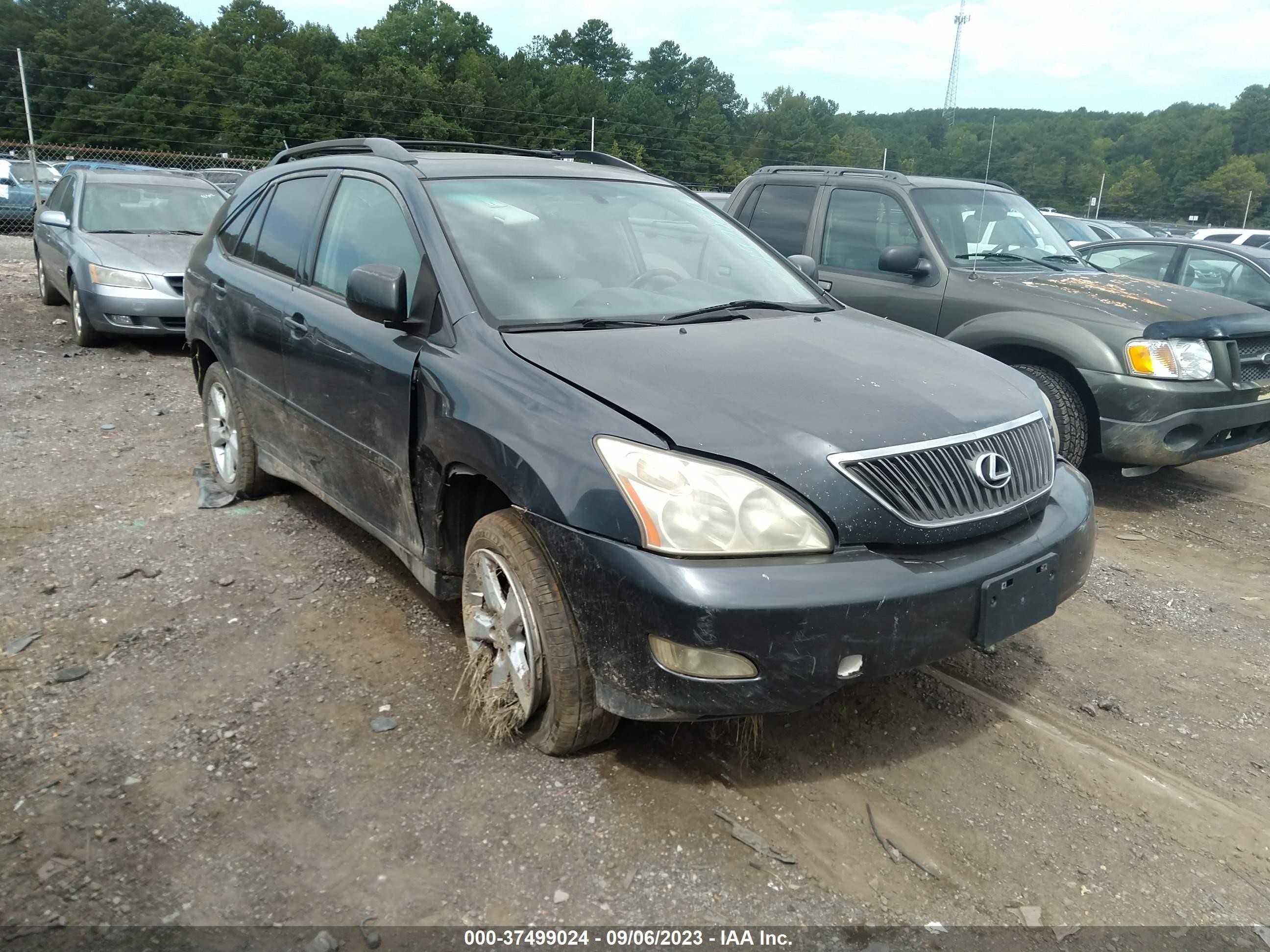 LEXUS RX 2004 jtjga31u940006784