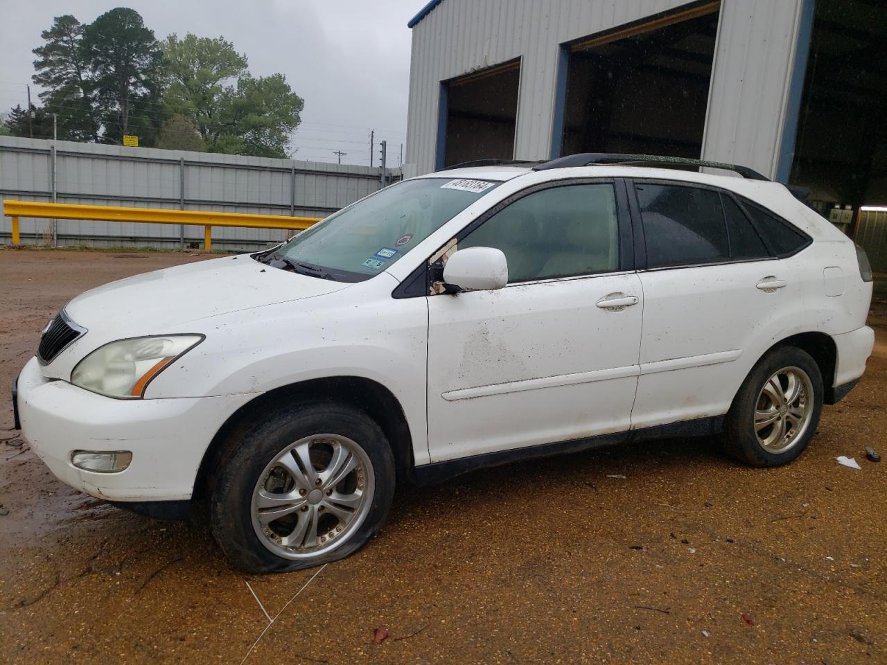 LEXUS RX 2005 jtjga31u950052133