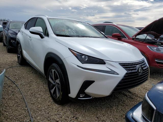 LEXUS NX 300 2020 jtjgarbz0l5018921