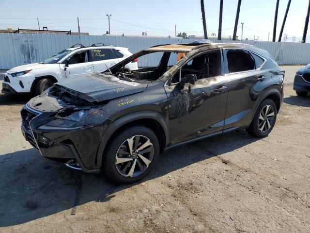 LEXUS NX 300 2020 jtjgarbz1l2174161