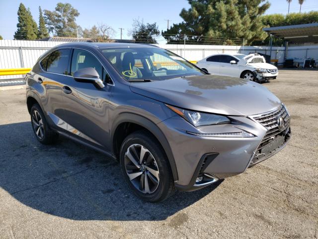 LEXUS NX 300 2020 jtjgarbz1l5018930