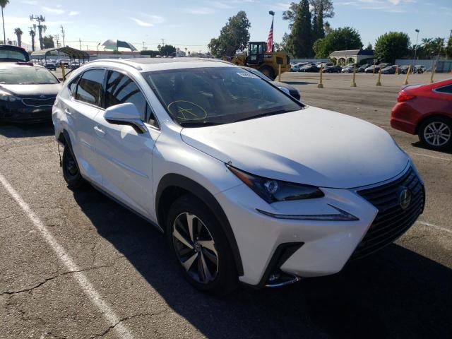 LEXUS NX 300 BAS 2021 jtjgarbz1m5027113