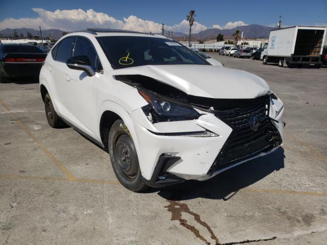 LEXUS NX 300 2020 jtjgarbz2l2170684