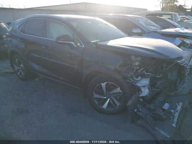 LEXUS NX 2020 jtjgarbz2l2177568