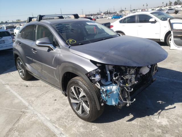 LEXUS NX 300 2020 jtjgarbz3l2174310