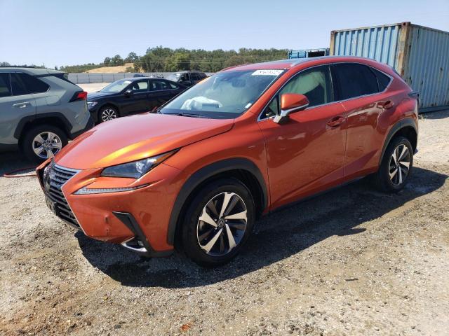 LEXUS NX 2021 jtjgarbz3m2199158