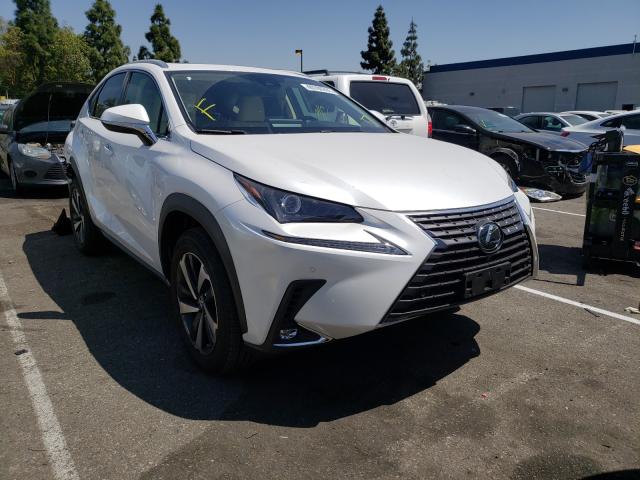 LEXUS NX 300 2021 jtjgarbz3m5027677