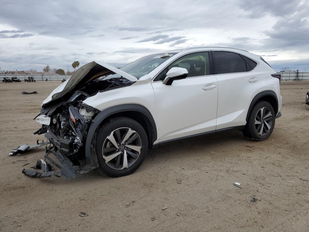 LEXUS NX 300 2020 jtjgarbz4l2173649