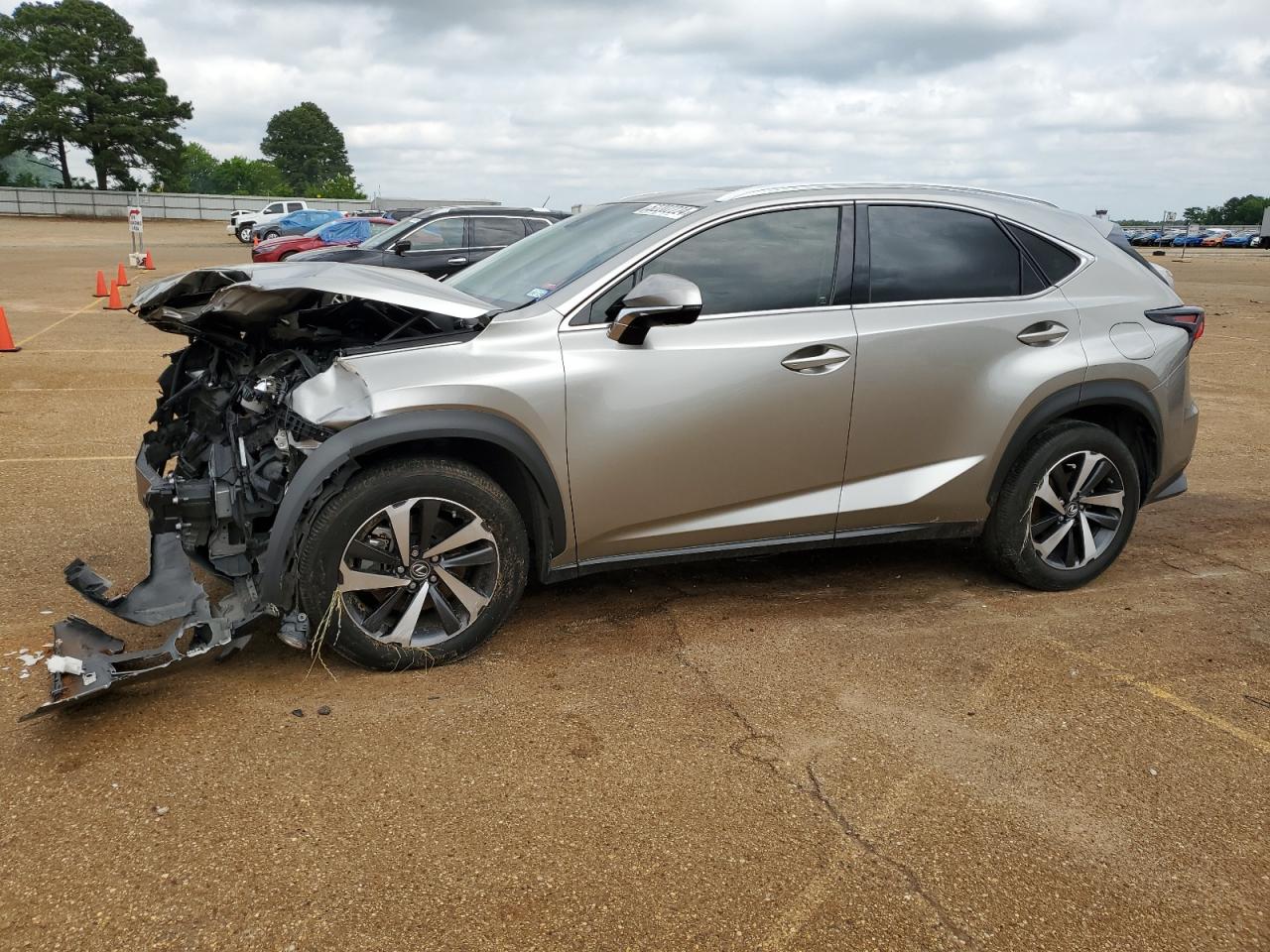 LEXUS NX 2020 jtjgarbz4l2174431