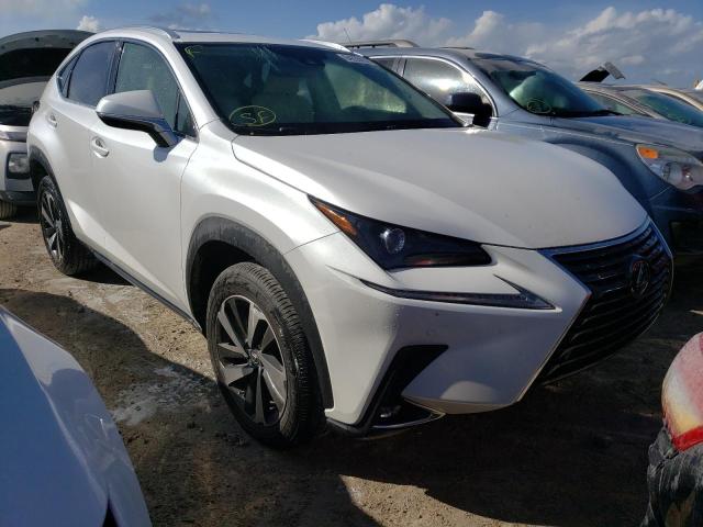 LEXUS NX 300 2020 jtjgarbz4l5007937