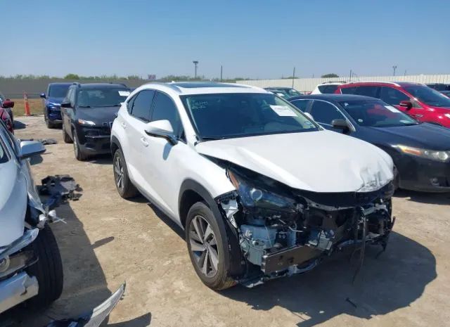 LEXUS NX 2020 jtjgarbz4l5018422