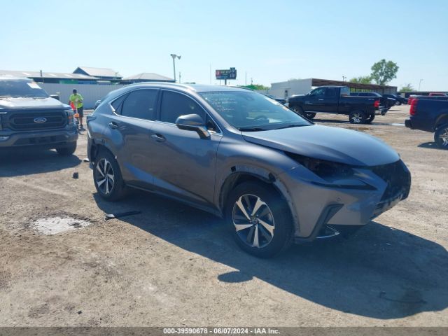 LEXUS NX 2021 jtjgarbz4m2202391