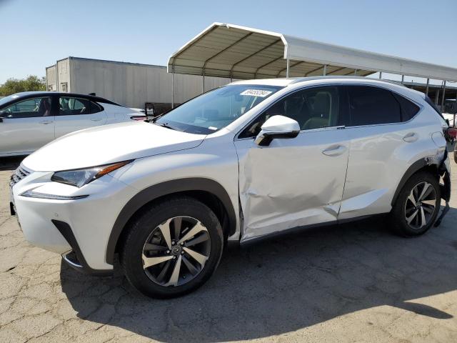 LEXUS NX 300 2020 jtjgarbz5l5002536