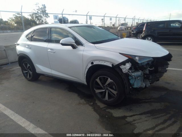 LEXUS NX 2020 jtjgarbz5l5011740