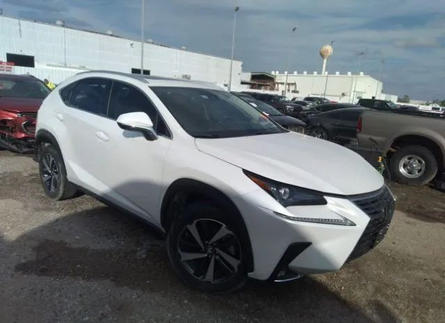 LEXUS NX 2021 jtjgarbz5m5025431