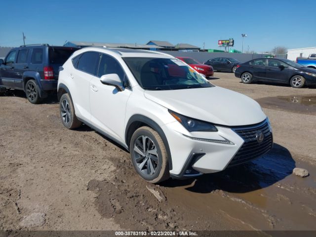 LEXUS NX 300 2019 jtjgarbz6l2158957