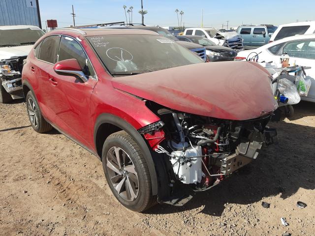 LEXUS NX 2020 jtjgarbz7l2177632